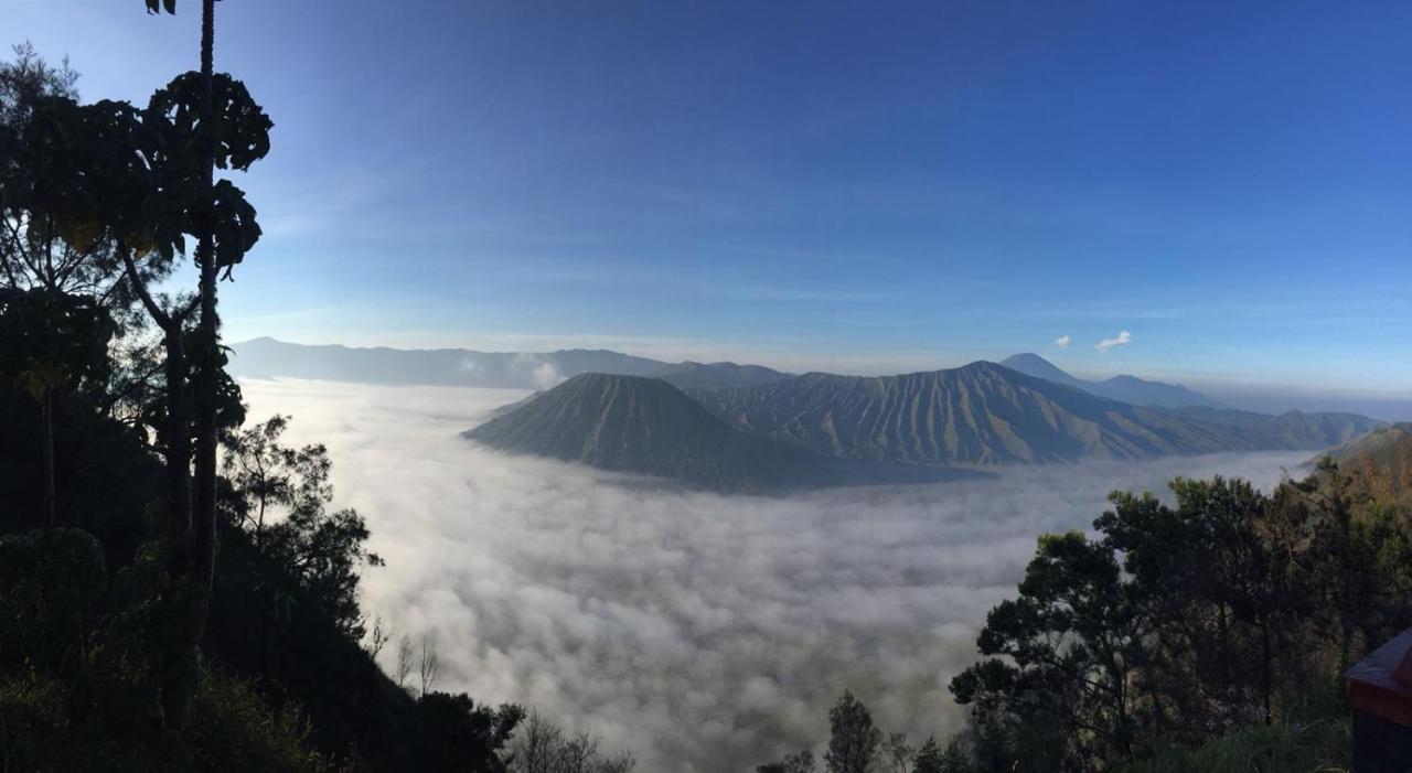 Bromo Tanjung Apartment Tosari Екстериор снимка